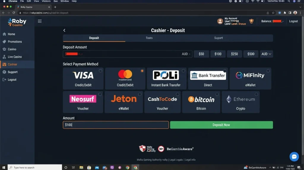 Roby Casino cashier area showing available deposit and payment choices